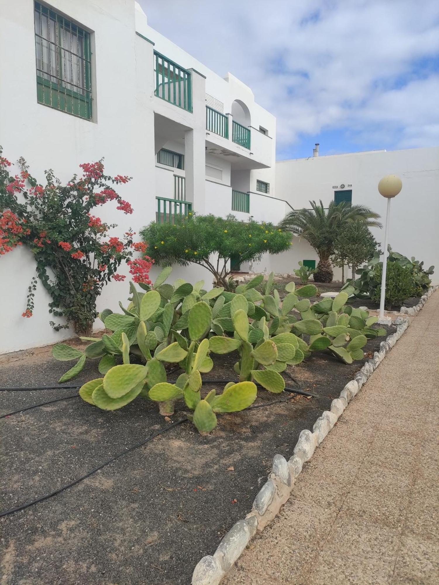 Casita Perla Blanca Apartment Costa De Antigua Exterior photo